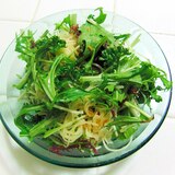 刺身のつまと水菜のサラダ